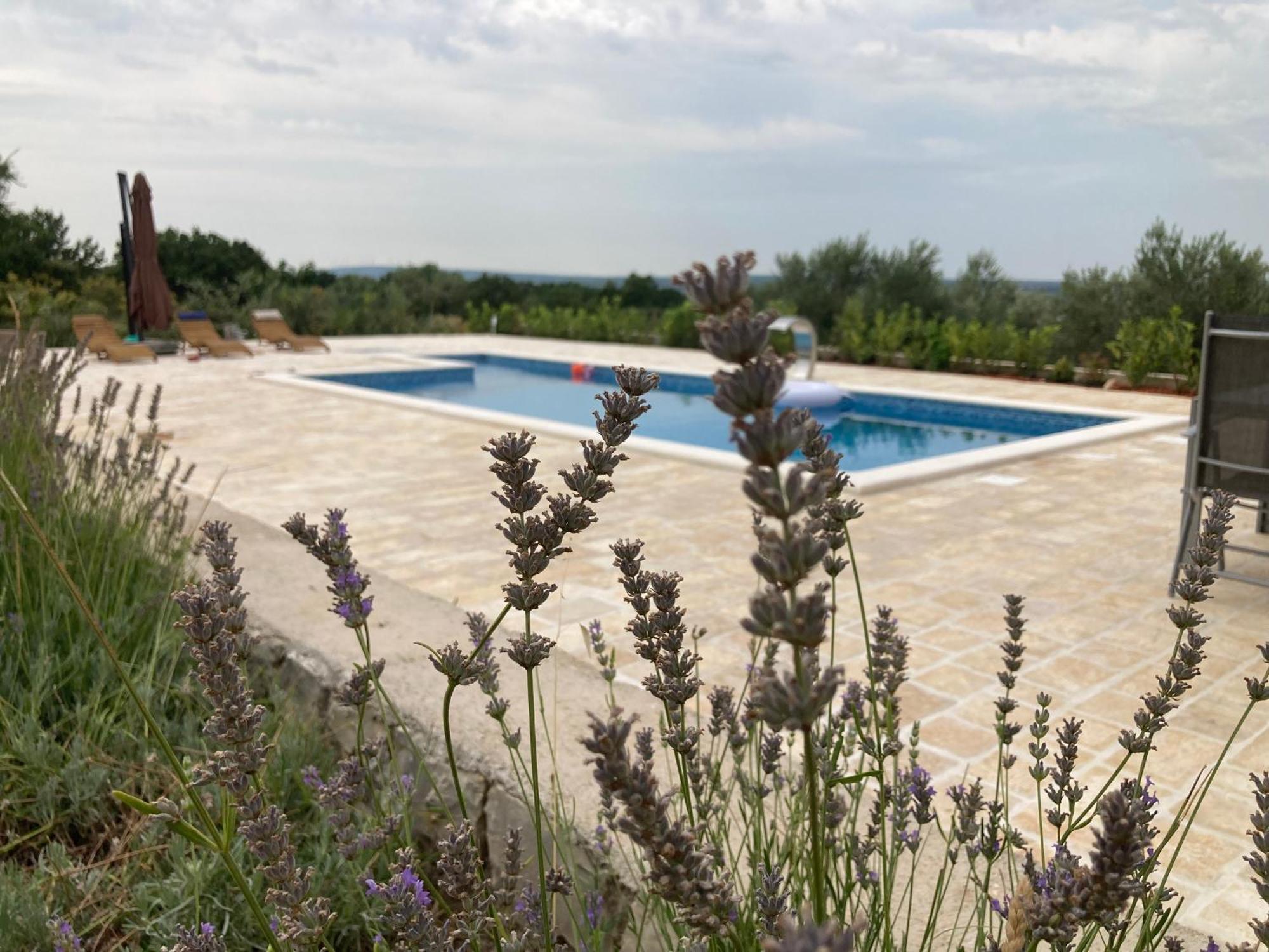 Villa Doci Zadar Extérieur photo